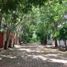  Land for sale in San Fernando, Chiapas, San Fernando