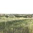  Land for sale in Punilla, Cordoba, Punilla