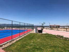  Grundstück zu verkaufen in Villa De Reyes, San Luis Potosi, Villa De Reyes