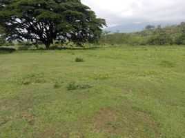  Terreno (Parcela) en venta en Cali, Valle Del Cauca, Cali