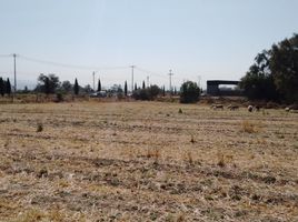  Terreno (Parcela) en venta en San Agustin Tlaxiaca, Hidalgo, San Agustin Tlaxiaca