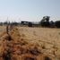  Terreno (Parcela) en venta en San Agustin Tlaxiaca, Hidalgo, San Agustin Tlaxiaca