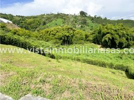  Terreno (Parcela) en venta en Manizales, Caldas, Manizales