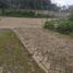  Tanah for sale in Serpong, Banten, Serpong, Tangerang