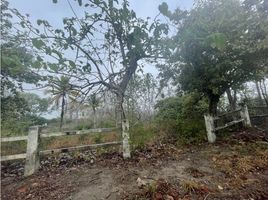  Terreno (Parcela) en venta en Panamá Oeste, San Carlos, San Carlos, Panamá Oeste