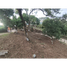  Land for sale in La Mesa Cundinamarca, La Mesa