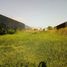  Terreno (Parcela) en venta en Kenjeran, East Jawa, Kenjeran
