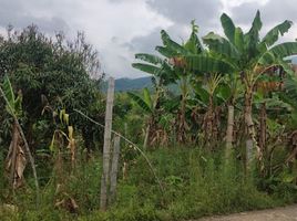  Terreno (Parcela) en venta en Pereira, Risaralda, Pereira