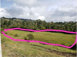  Grundstück zu verkaufen in Rionegro, Antioquia, Rionegro