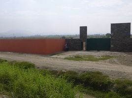  Terreno (Parcela) en venta en Chincha, Ica, Chincha Baja, Chincha