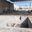  Grundstück zu vermieten in Torreon, Coahuila, Torreon
