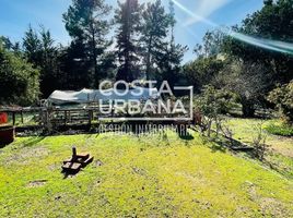 5 침실 주택을(를) 칠레에서 판매합니다., Casa Blanca, 발파라 이소, 발파라 이소, 칠레