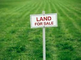  Land for sale in Mulyorejo, Surabaya, Mulyorejo