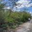  Land for sale in Merida, Yucatan, Merida, Yucatan