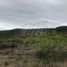  Land for sale in Montemorelos, Nuevo Leon, Montemorelos