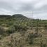 Land for sale in Montemorelos, Nuevo Leon, Montemorelos