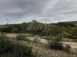  Land for sale in Montemorelos, Nuevo Leon, Montemorelos