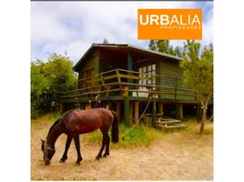  Terrain for sale in El Tabo, San Antonio, El Tabo