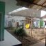Maison 5 chambre à vendre à Lembang, West Jawa, Lembang