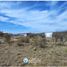  Land for sale in Punilla, Cordoba, Punilla