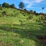 Terrain à vendre à Guarne, Antioquia, Guarne