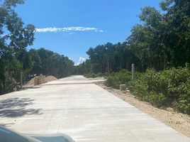  Grundstück zu verkaufen in Cozumel, Quintana Roo, Cozumel