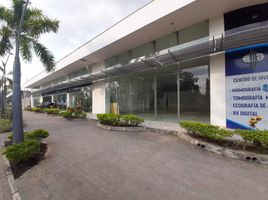 0 SqM Office for rent in Monteria, Cordoba, Monteria