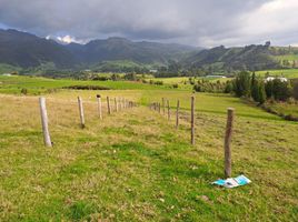  Terreno (Parcela) en venta en Cayambe, Pichincha, Cayambe, Cayambe