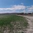 Land for sale in Dolores Hidalgo, Guanajuato, Dolores Hidalgo, Guanajuato