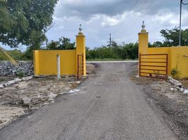 Studio Villa zu verkaufen in Sucila, Yucatan, Sucila