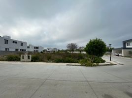  Terreno (Parcela) en venta en Merida, Yucatán, Merida, Yucatán