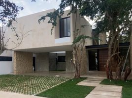 在墨西哥出售的 屋, Merida, Yucatan, 墨西哥