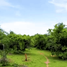  Land for sale in Ayala, Morelos, Ayala