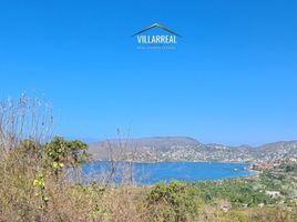  Terreno (Parcela) en venta en Jose Azueta, Guerrero, Jose Azueta