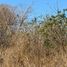  Terreno (Parcela) en venta en Jose Azueta, Guerrero, Jose Azueta