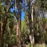  Land for sale in Llanquihue, Los Lagos, Puerto Varas, Llanquihue