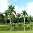  Land for sale in Jiutepec, Morelos, Jiutepec