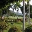 在Jiutepec, Morelos出售的 土地, Jiutepec