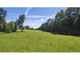  Apartment for sale in Cautin Araucania, Freire, Cautin