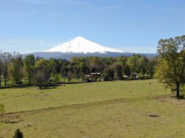  Land for sale in Chile, Villarrica, Cautin, Araucania, Chile