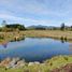 Land for sale in Chile, Villarrica, Cautin, Araucania, Chile