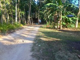  Land for sale in Dauis, Bohol, Dauis