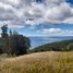  Land for sale in Chile, Curaco De Velez, Chiloe, Los Lagos, Chile