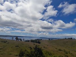  Land for sale in Chile, Curaco De Velez, Chiloe, Los Lagos, Chile