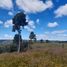  Land for sale in Chile, Curaco De Velez, Chiloe, Los Lagos, Chile