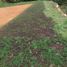  Land for sale in Guarne, Antioquia, Guarne