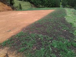  Land for sale in Guarne, Antioquia, Guarne