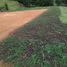  Land for sale in Guarne, Antioquia, Guarne