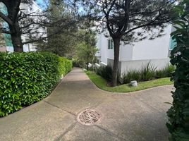  Grundstück zu verkaufen in Zapopan, Jalisco, Zapopan