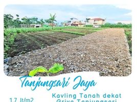  Grundstück zu verkaufen in Cimalaka, West Jawa, Cimalaka